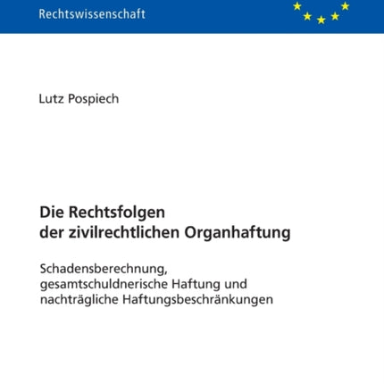 Die Rechtsfolgen der zivilrechtlichen