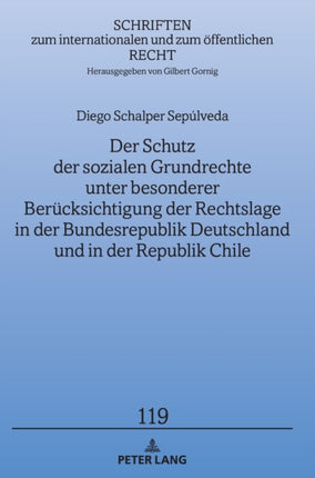 Der Schutz der sozialen Grundrechte unter