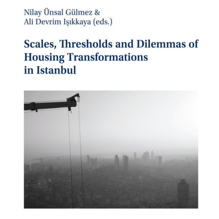 Scales, Thresholds And Dilemmas Of Housing