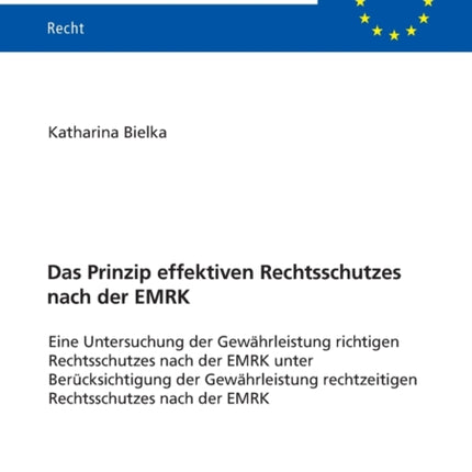 Das Prinzip effektiven Rechtsschutzes nach der
