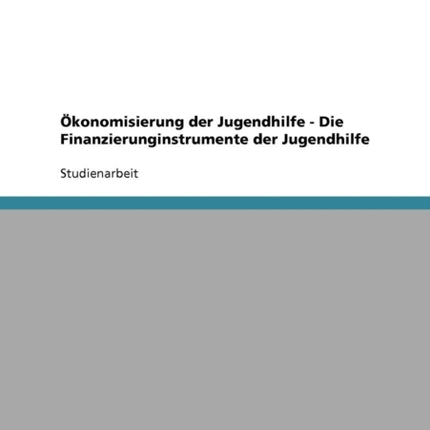 konomisierung der Jugendhilfe  Die Finanzierunginstrumente der Jugendhilfe