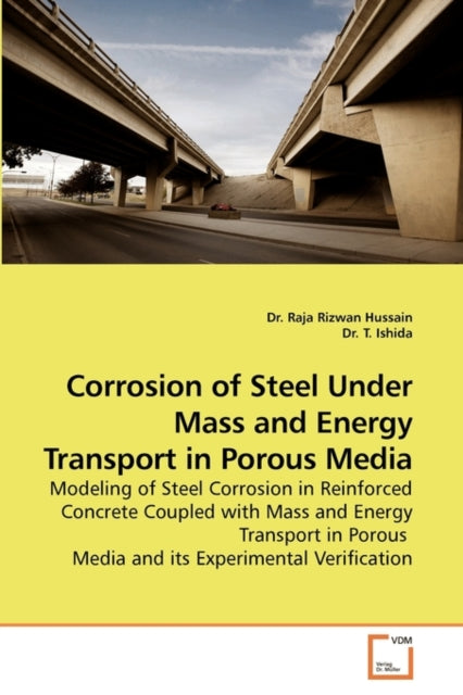 Corrosion of Steel Under Mass and Energy