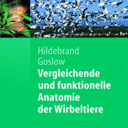 Vergleichende und funktionelle Anatomie der Wirbeltiere