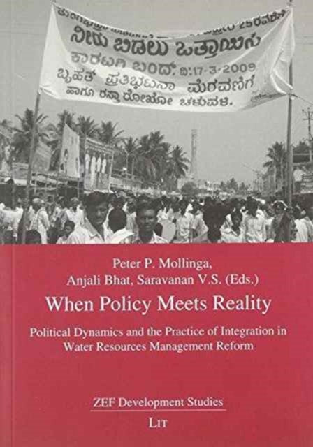 When Policy Meets Reality: Political Dynamics and the Practice of Integration in Water Resources Management Reform