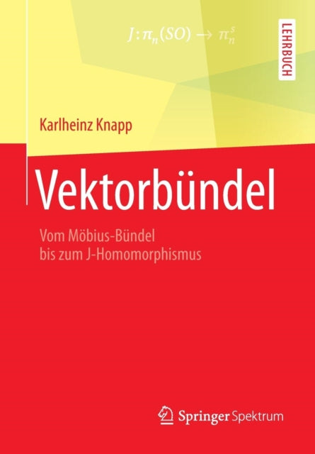 Vektorbündel: Vom Möbius-Bündel bis zum