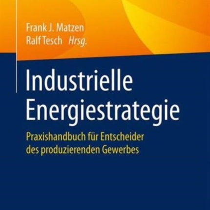 Industrielle Energiestrategie: Praxishandbuch für
