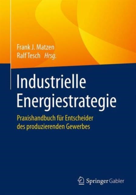 Industrielle Energiestrategie: Praxishandbuch für