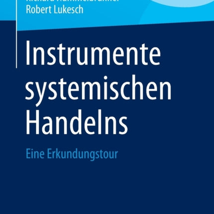 Instrumente systemischen Handelns: Eine