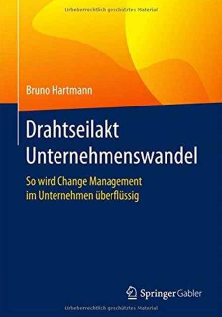 Drahtseilakt Unternehmenswandel: So wird Change