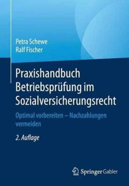 Praxishandbuch Betriebsprüfung im