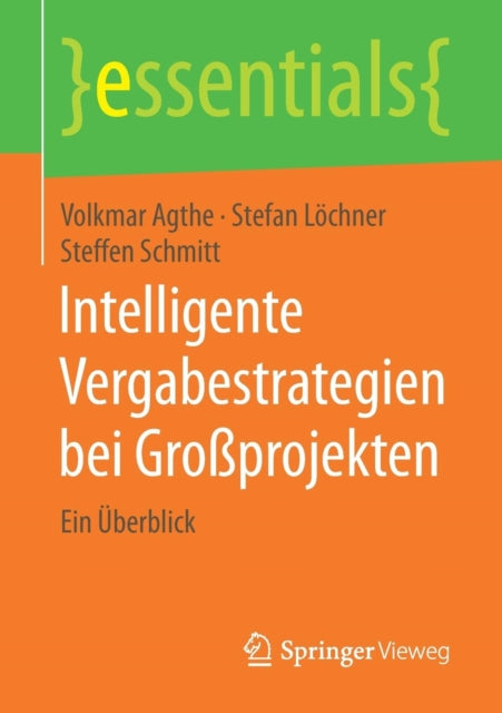 Intelligente Vergabestrategien bei Großprojekten: