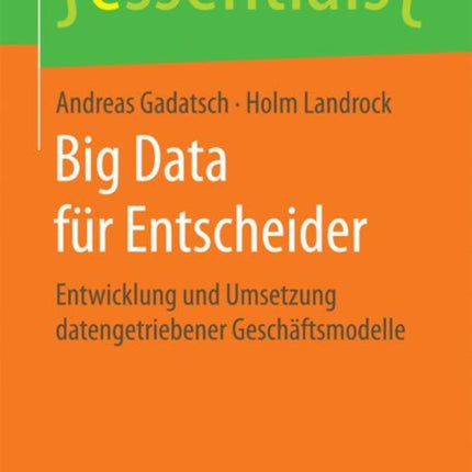 Big Data für Entscheider: Entwicklung und