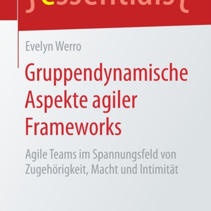 Gruppendynamische Aspekte agiler Frameworks: