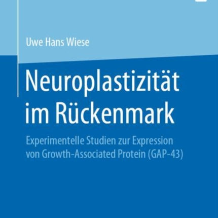 Neuroplastizität im Rückenmark: Experimentelle