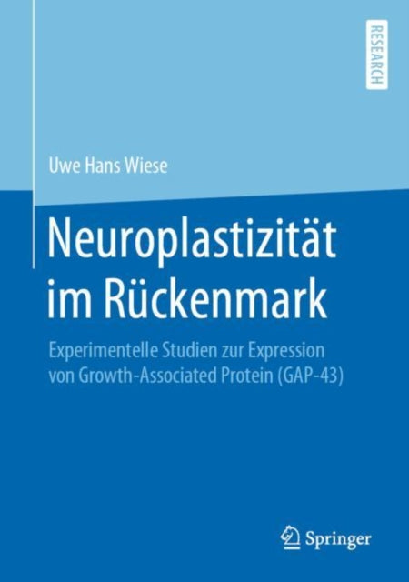 Neuroplastizität im Rückenmark: Experimentelle