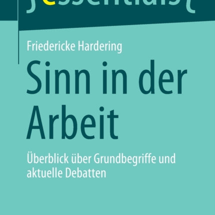 Sinn in der Arbeit: Überblick über Grundbegriffe