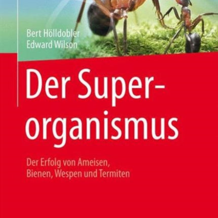 Der Superorganismus: Der Erfolg von Ameisen,