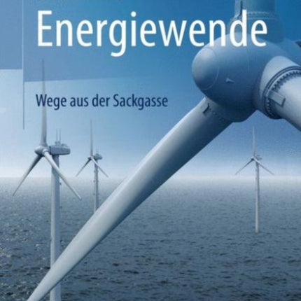 Risiko Energiewende: Wege aus der Sackgasse