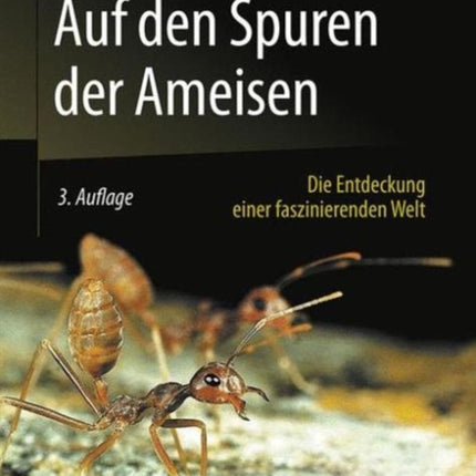 Auf den Spuren der Ameisen: Die Entdeckung einer faszinierenden Welt