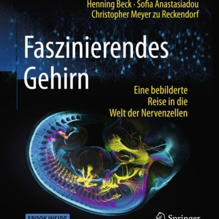 Faszinierendes Gehirn Eine bebilderte Reise in die Welt der Nervenzellen