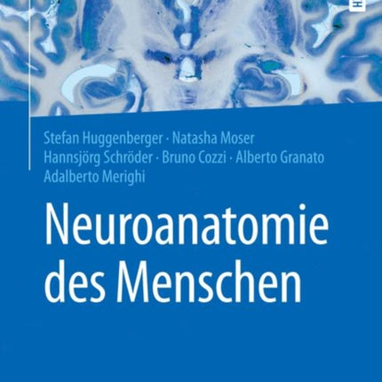 Neuroanatomie des Menschen