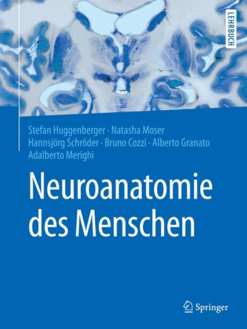 Neuroanatomie des Menschen