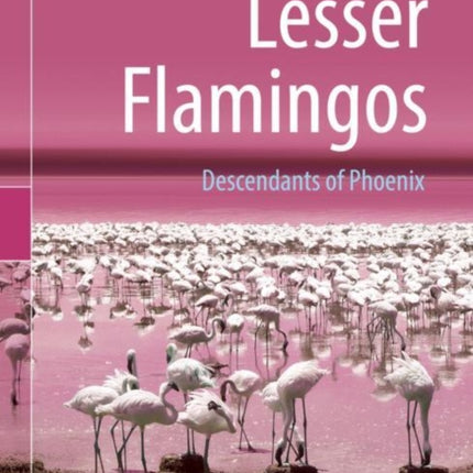 Lesser Flamingos: Descendants of Phoenix