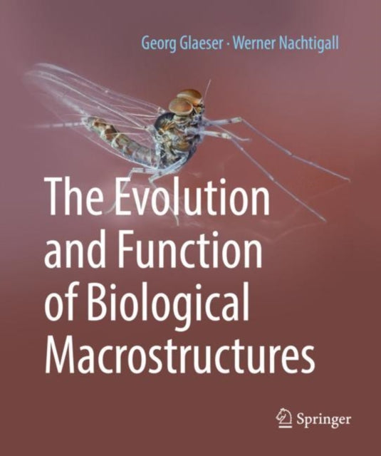 The Evolution and Function of Biological Macrostructures