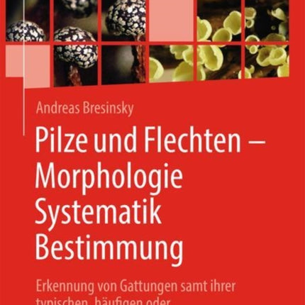 Pilze und Flechten – Morphologie, Systematik,