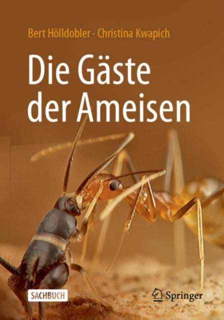 Die Gäste der Ameisen: Wie Myrmecophile mit ihren Wirten interagieren