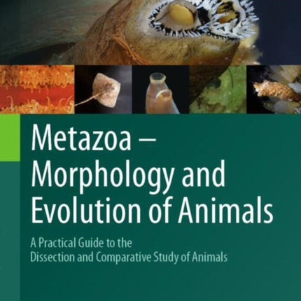 Metazoa  Morphology and Evolution of Animals