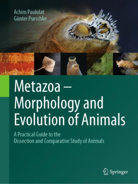 Metazoa  Morphology and Evolution of Animals