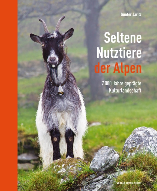 Seltene Nutztiere der Alpen: 7000 Jahre gepragte Kulturlandschaft