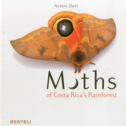 Moths of Costa Rica's Rainforest