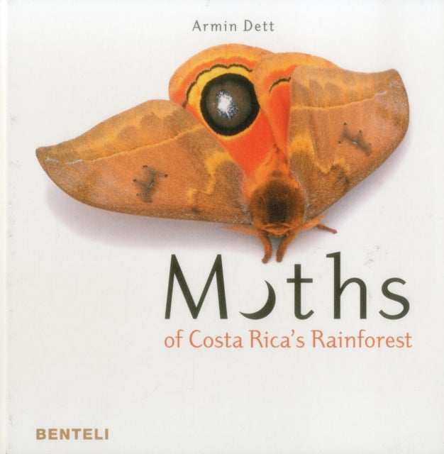 Moths of Costa Rica's Rainforest