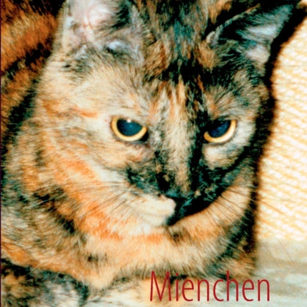 Mienchen die kleine blinde Katze