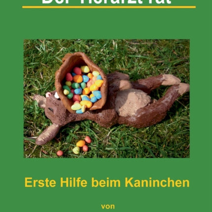 Der Tierarzt rät - Erste Hilfe beim Kaninchen