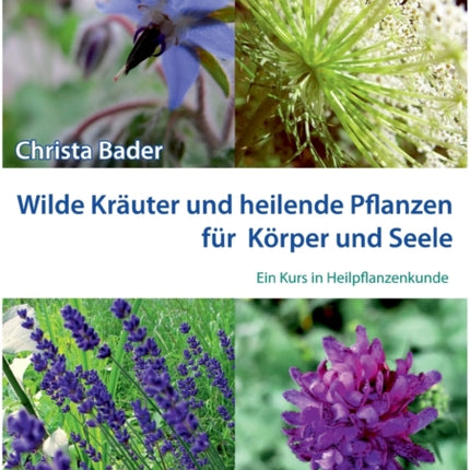Wilde Kräuter und Heilende Pflanzen für Körper und Seele: Ein Kurs in Heilpflanzenkunde