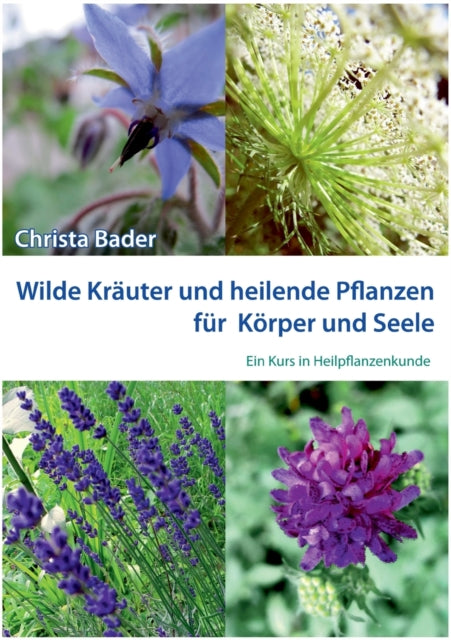Wilde Kräuter und Heilende Pflanzen für Körper und Seele: Ein Kurs in Heilpflanzenkunde
