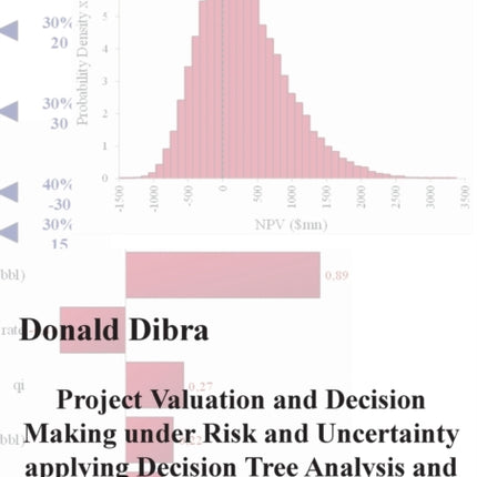 Project Valuation and Decision Making under Risk