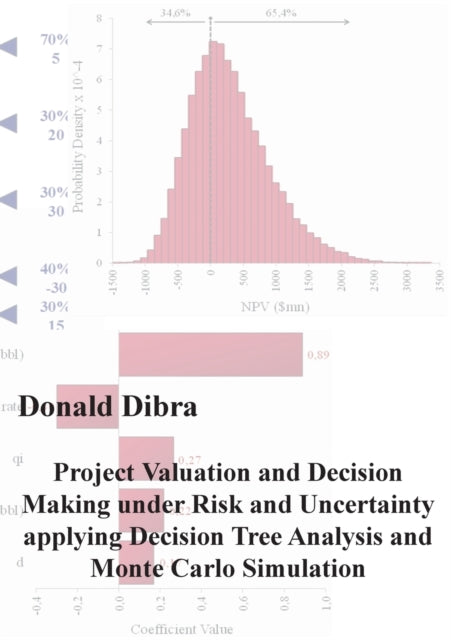 Project Valuation and Decision Making under Risk