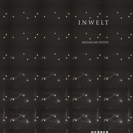 Maximilian Prüfer: Inwelt