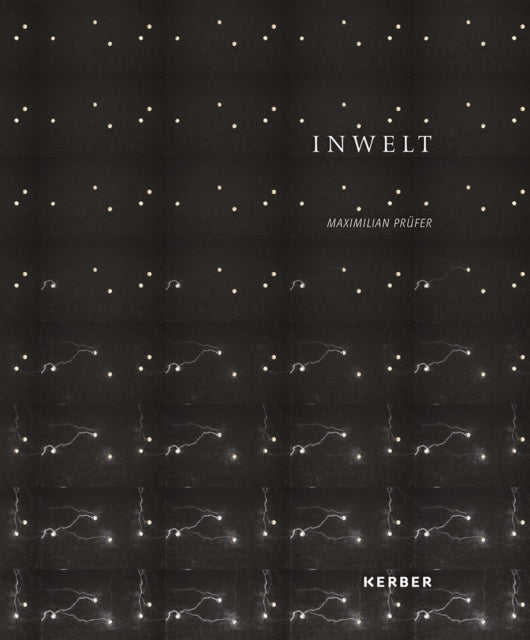 Maximilian Prüfer: Inwelt