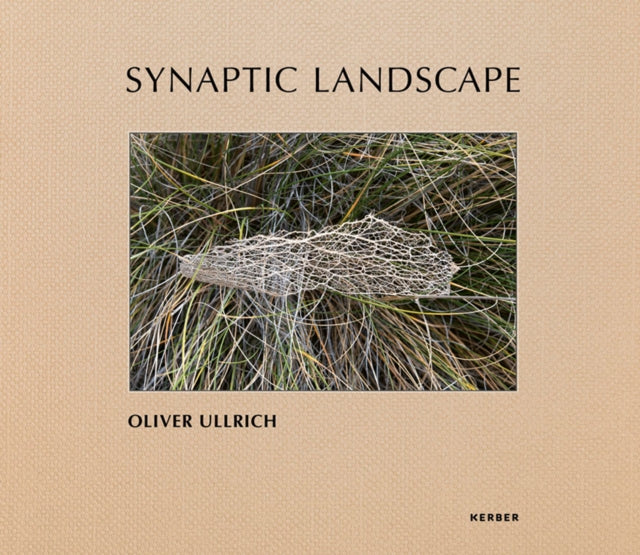 Synaptic Landscape Oliver Ullrich