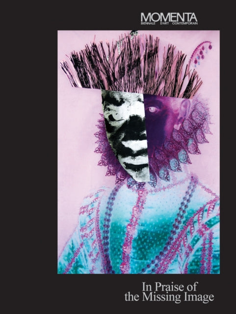 MOMENTA In Praise of the Missing Image
