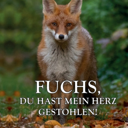 Fuchs, du hast mein Herz gestohlen!: Hommage an