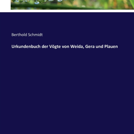 Urkundenbuch der Vögte von Weida, Gera und Plauen