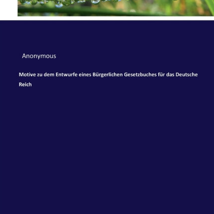 Motive zu dem Entwurfe eines Bürgerlichen