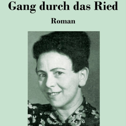 Gang durch das Ried: Roman