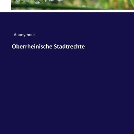 Oberrheinische Stadtrechte